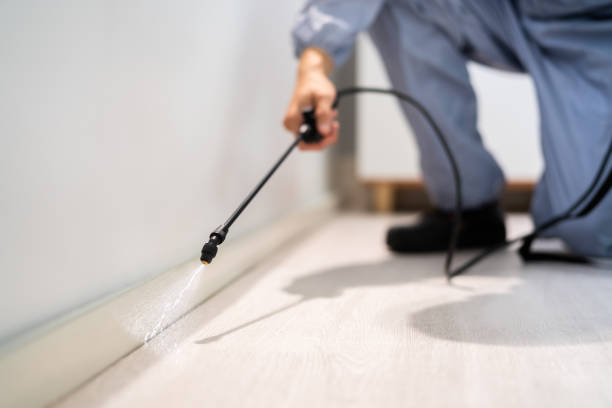Certified termite inspector examining foundation in Indiana