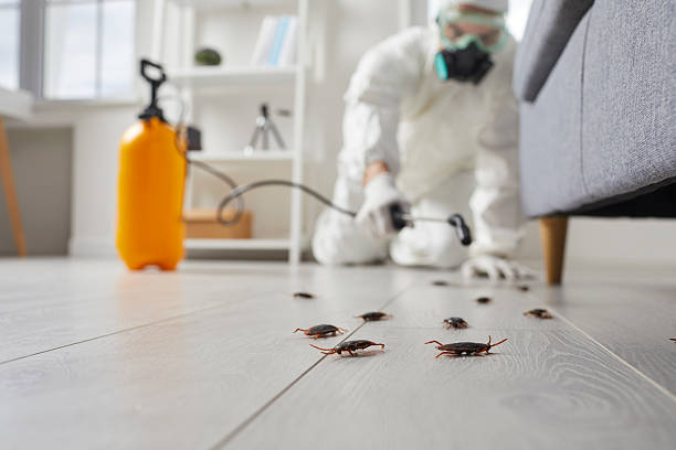 Commercial Kitchen Cockroach Control in Indiana